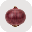 Red Onion